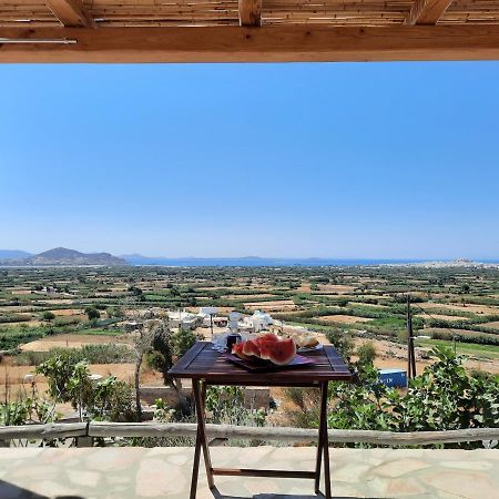 Janakos View Apartment With Private Pool Glinado Naxos Eksteriør bilde