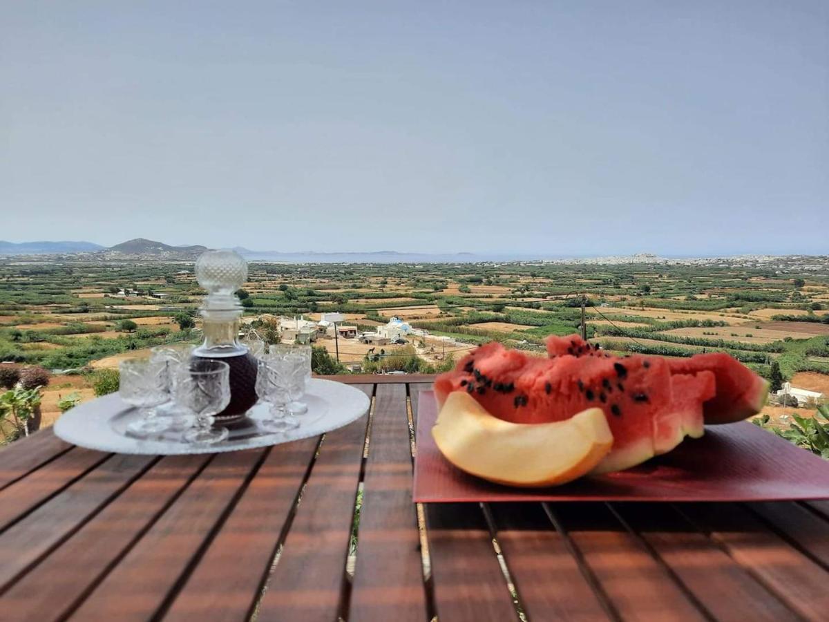 Janakos View Apartment With Private Pool Glinado Naxos Eksteriør bilde