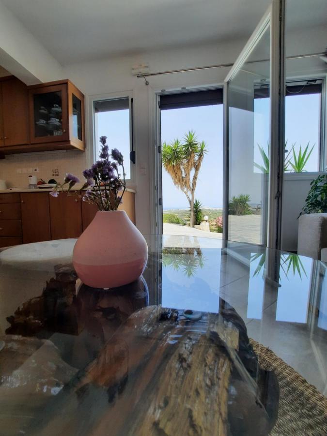 Janakos View Apartment With Private Pool Glinado Naxos Eksteriør bilde