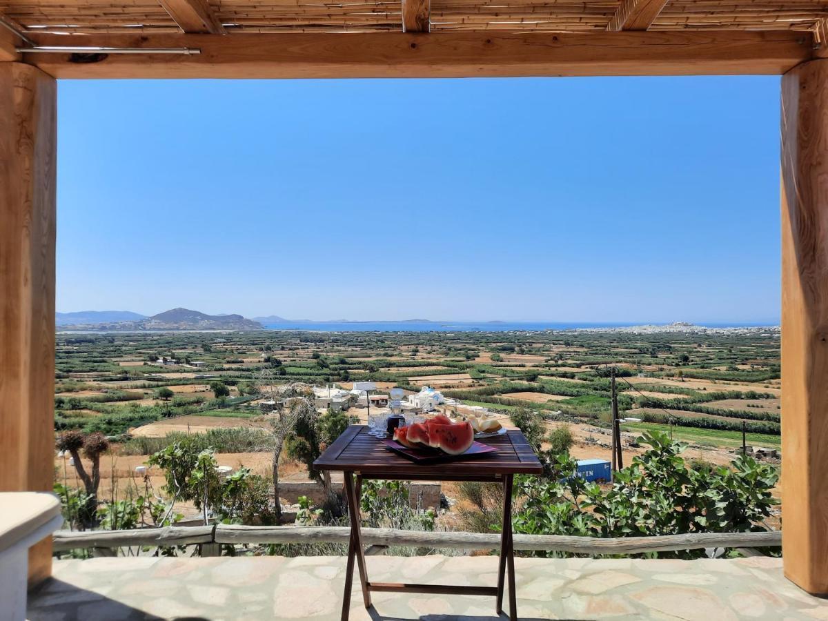 Janakos View Apartment With Private Pool Glinado Naxos Eksteriør bilde