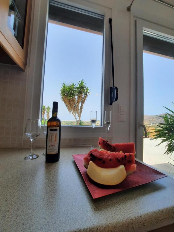 Janakos View Apartment With Private Pool Glinado Naxos Eksteriør bilde