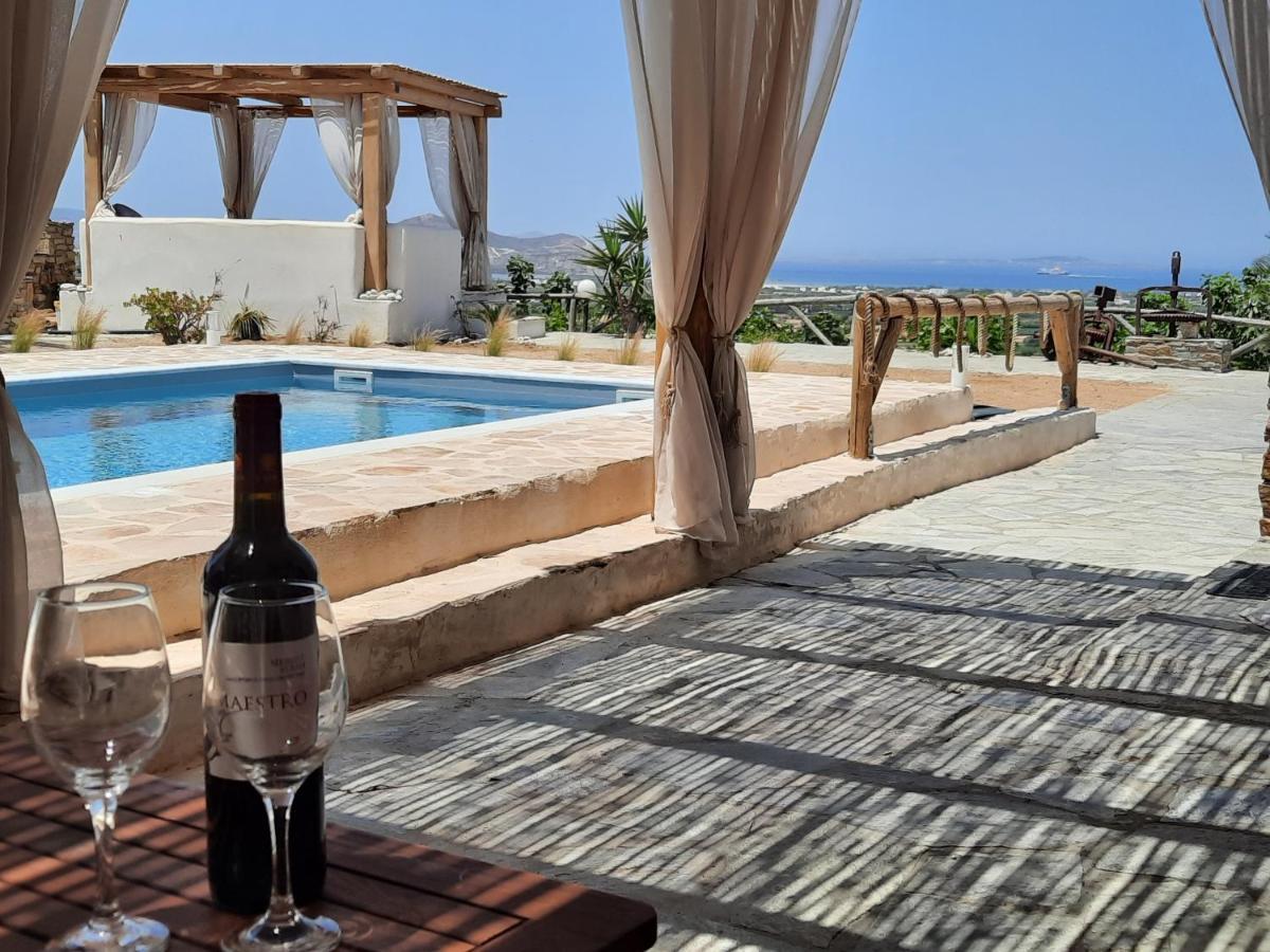 Janakos View Apartment With Private Pool Glinado Naxos Eksteriør bilde