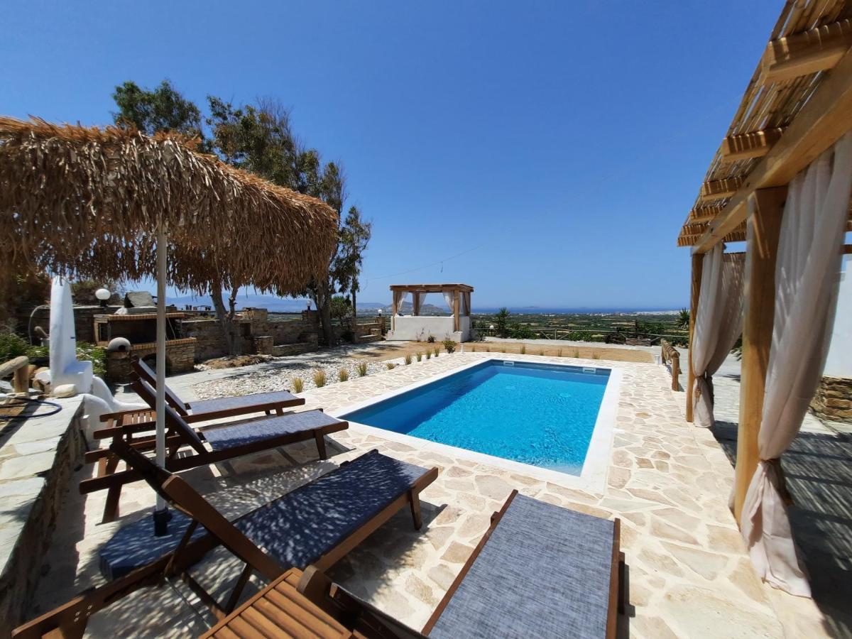 Janakos View Apartment With Private Pool Glinado Naxos Eksteriør bilde