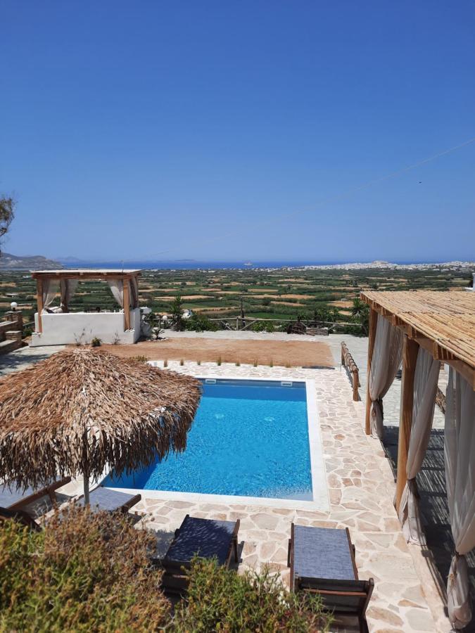 Janakos View Apartment With Private Pool Glinado Naxos Eksteriør bilde
