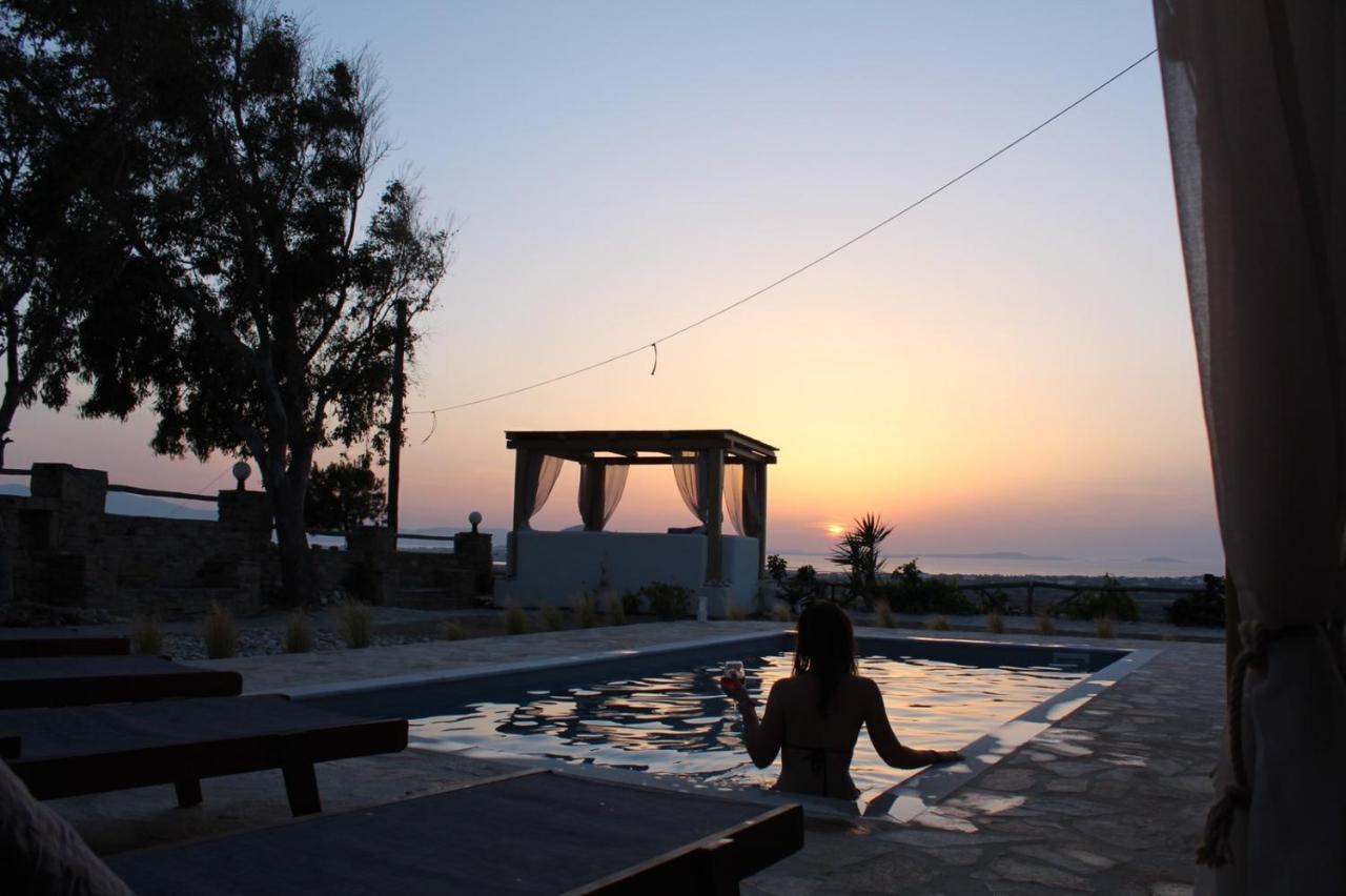 Janakos View Apartment With Private Pool Glinado Naxos Eksteriør bilde