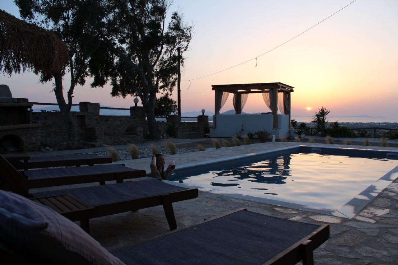 Janakos View Apartment With Private Pool Glinado Naxos Eksteriør bilde