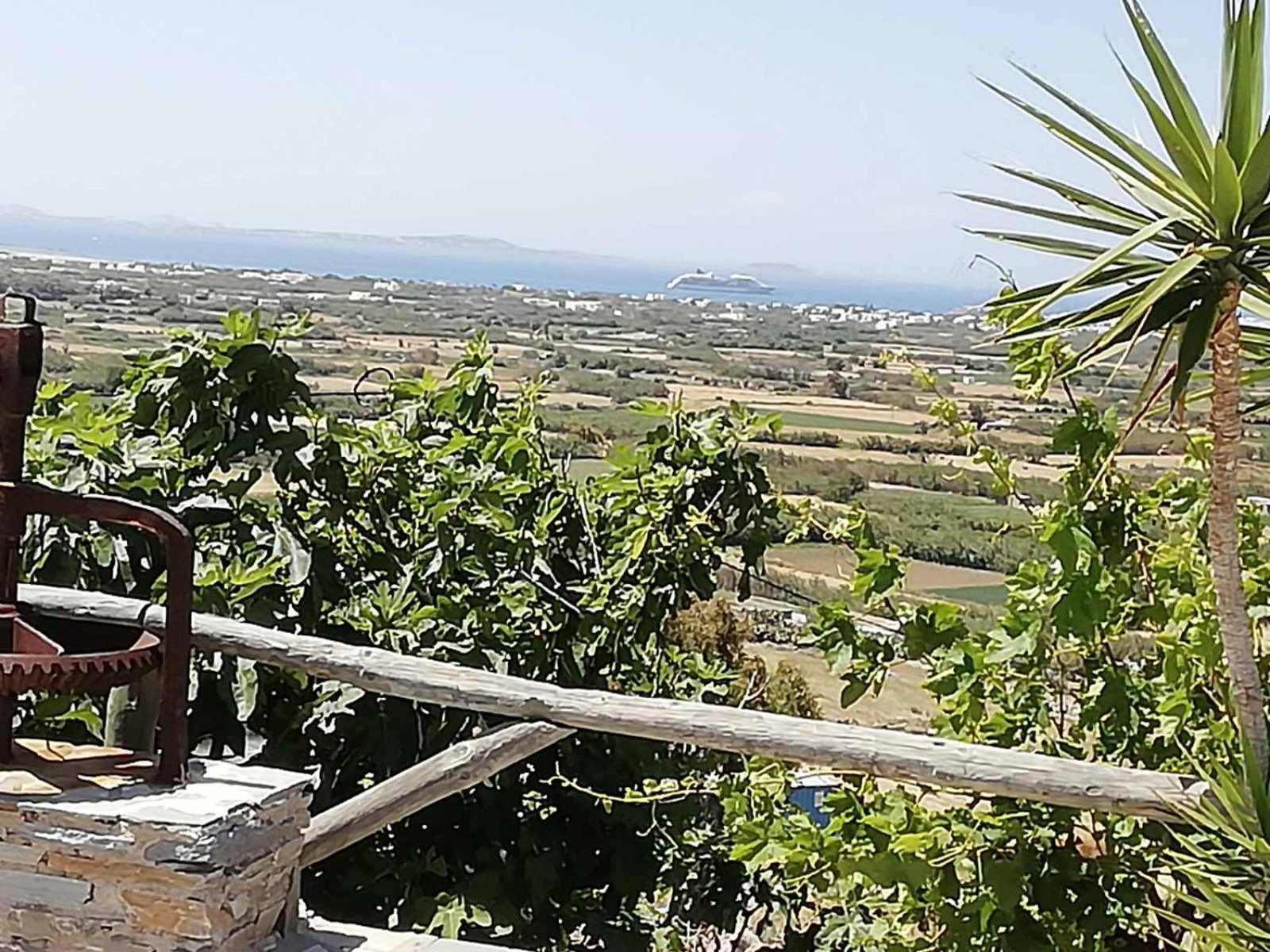 Janakos View Apartment With Private Pool Glinado Naxos Eksteriør bilde
